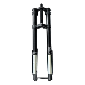 R19 Front shock absorbers