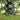 Coswheel R19 Electric Dirt Bike