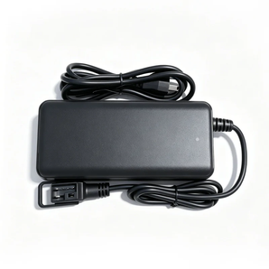 R19 Charger